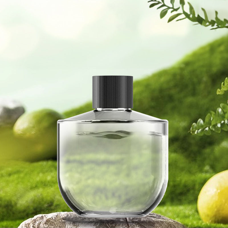 Multifunctional Car Diffuser Purifier with Star Projector