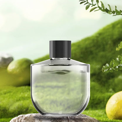 Multifunctional Car Diffuser Purifier with Star Projector