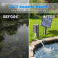 Solar Pond Aerator – Sun‑powered, no wiring. Boosts oxygen for fish & plants. Clean water, happy pond! 🌿✨