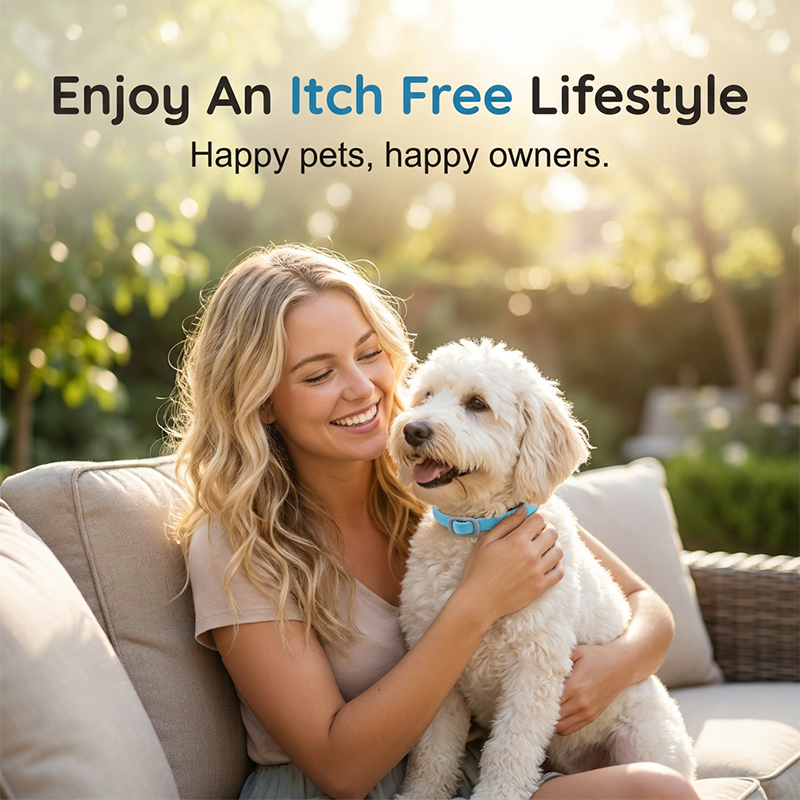 🎉 FLASH DEAL 50% OFF🐶🐱 – Plant-Based Flea & Tick Collar 🌿 Up to 8 Months Protection, Slow-Release Oils, Water-Resistant 💦 Repels Mosquitoes & Larvae, Comfortable & Safe for Daily Wear 🐕