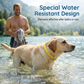 🎉 FLASH DEAL 50% OFF🐶🐱 – Plant-Based Flea & Tick Collar 🌿 Up to 8 Months Protection, Slow-Release Oils, Water-Resistant 💦 Repels Mosquitoes & Larvae, Comfortable & Safe for Daily Wear 🐕