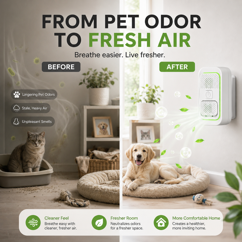 Mini Plug-In Negative Ion Air Purifier